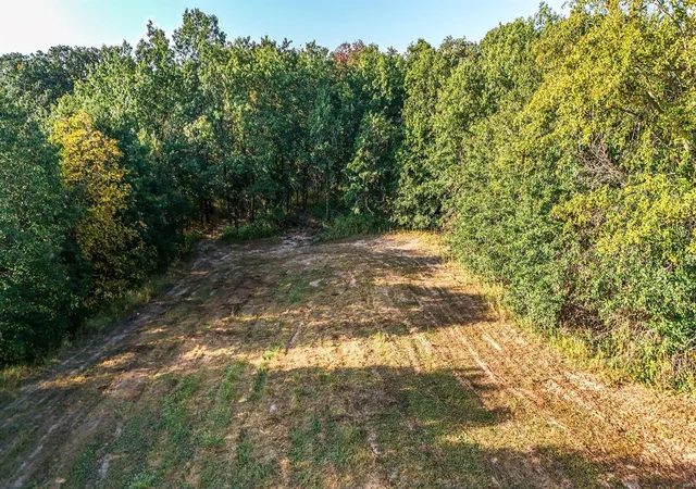 Photo 5 of Agriculture at 41071 Washington (Lot #12) Ln, Perry, MO 63462 | MLS# MIS24061646 | | Sold on 2025-04-04