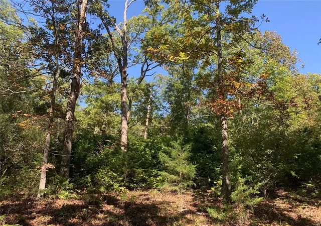 Photo 3 of Farm at 0 Tbd Red Bud, Fulton, MO 65251 | MLS# MIS24062071 | | Sold on 2025-01-14