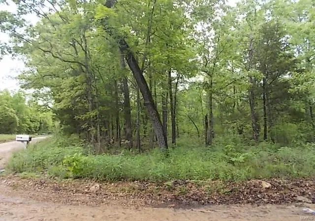 Photo 2 of Land at 0 Cr 355 Lot# 12, Dora, MO 65637 | MLS# MIS24063128 | | Sold on 2025-04-11