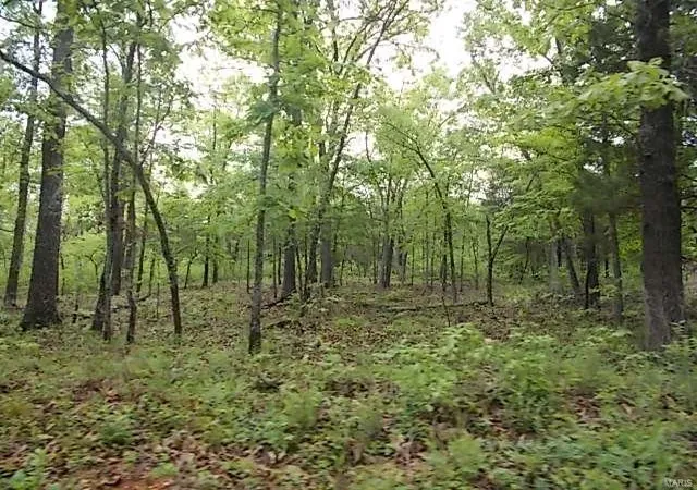 Photo 3 of Land at 0 Cr 355 Lot# 12, Dora, MO 65637 | MLS# MIS24063128 | | Sold on 2025-04-11