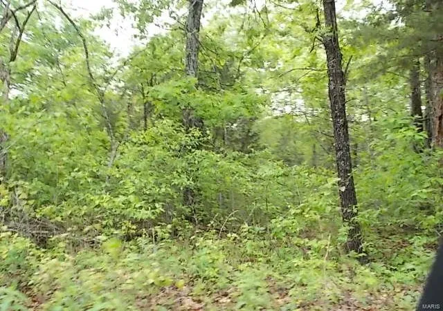 Photo 4 of Land at 0 Cr 355 Lot# 12, Dora, MO 65637 | MLS# MIS24063128 | | Sold on 2025-04-11