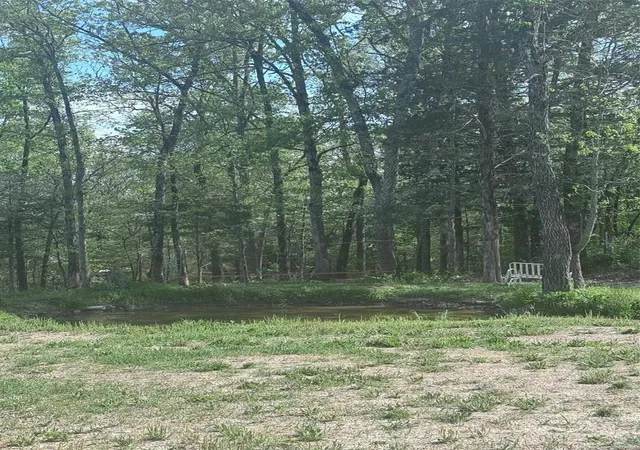 Photo 5 of Land at 0 Cr 355 Lot# 12, Dora, MO 65637 | MLS# MIS24063128 | | Sold on 2025-04-11