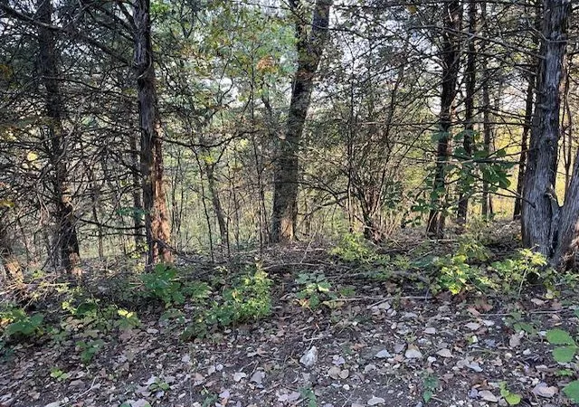 Photo 1 of Land for sale at 40 Lake Shore Dr N, New Florence, MO 63363 | MLS# MIS24063769 | Listing updated on 2025-10-09