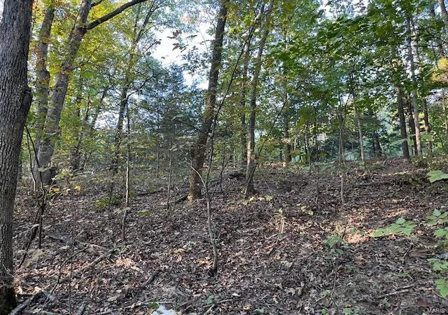 Photo 2 of Land at 19 Rocky Ridge Dr, New Florence, MO 63363 | MLS# MIS24063772 |  | Sold on 2025-04-02