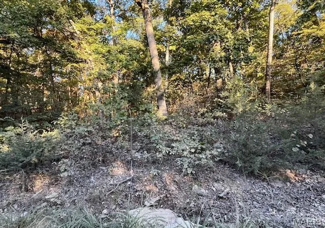 Photo 1 of Land at 7 Rocky Ridge Dr, New Florence, MO 63363 | MLS# MIS24063775 | | Sold on 2025-09-22