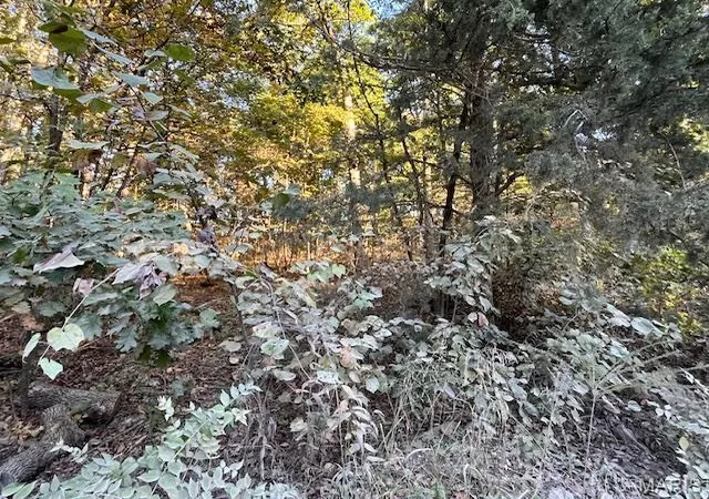 Photo 2 of Land at 7 Rocky Ridge Dr, New Florence, MO 63363 | MLS# MIS24063775 | | Sold on 2025-09-22