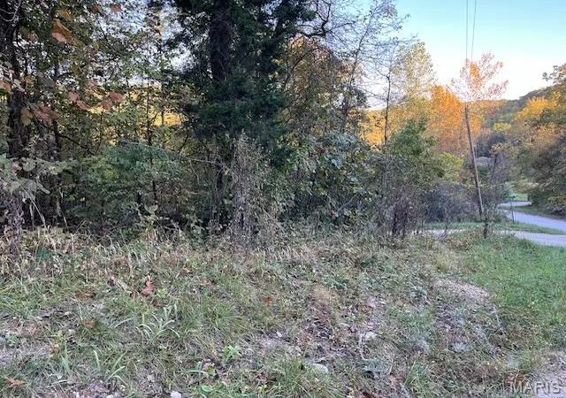 Photo 2 of Land at 75 N Skyline Dr, New Florence, MO 63363 | MLS# MIS24063776 | | Sold on 2025-06-30