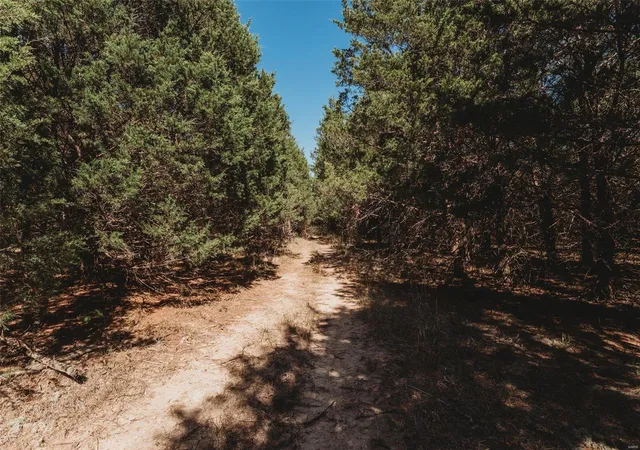 Photo 4 of Farm at 0 Tract "B" Hwy Nn, Bland, MO 65014 | MLS# MIS24064640 | | Sold on 2025-07-02