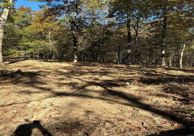 Photo 3 of Farm at 14383 Bcr 300, Marble Hill, MO 63764 | MLS# MIS24065519 | | Sold on 2025-06-03