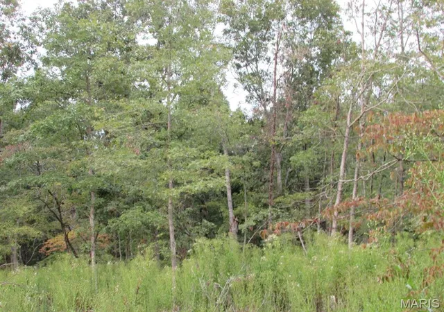 Homes for sale in Gainesville, MO | 0 County Road 553A, Gainesville, MO 65655 | MLS# MIS24065551