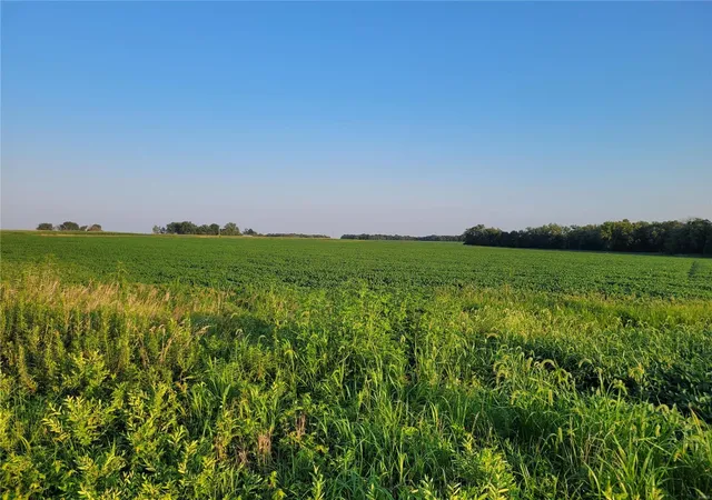 Photo 3 of Farm at 0 Hwy Dd (3753+/- Ac) Tract F, Bellflower, MO 63333 | MLS# MIS24066780 |  | Sold on 2025-07-07
