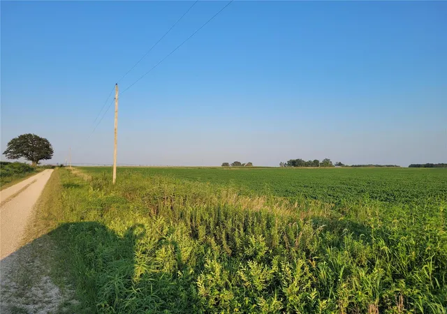Photo 4 of Farm at 0 Hwy Dd (3753+/- Ac) Tract F, Bellflower, MO 63333 | MLS# MIS24066780 |  | Sold on 2025-07-07