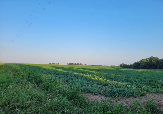 Photo 5 of Farm at 0 Hwy Dd (3753+/- Ac) Tract F, Bellflower, MO 63333 | MLS# MIS24066780 |  | Sold on 2025-07-07