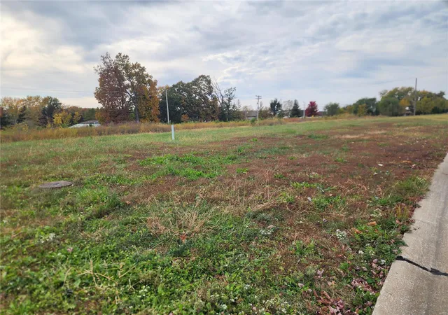 2nd image of 100 Whisper Creek Dr, Wentzville, MO 63385 | MLS# MIS24068133