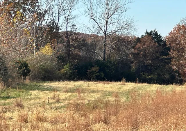 Photo 4 of Agriculture at 0 Hwy V Rd #TRACT 2, Owensville, MO 65066 | MLS# MIS24068260 | | Sold on 2025-07-31