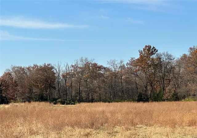 Photo 5 of Agriculture at 0 Hwy V Rd #TRACT 2, Owensville, MO 65066 | MLS# MIS24068260 | | Sold on 2025-07-31