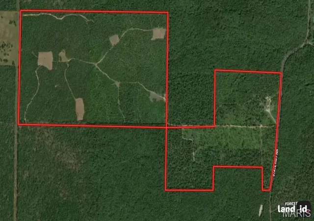 2nd image of 1743 Ripley Route Nn, Doniphan, MO 63935 | MLS# MIS24068678