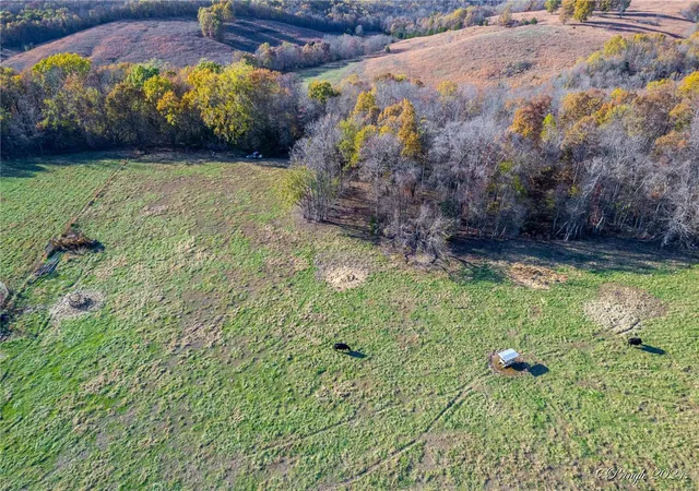 Photo 3 of Farm at 1835 County Road 137, Wasola, MO 65773 | MLS# MIS24070062 | | Sold on 2025-01-09