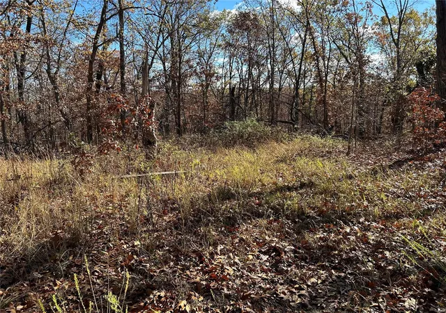 Photo 5 of Farm at 0 Partridge Dr, Climax Springs, MO 65324 | MLS# MIS24070299 |  | Sold on 2024-12-27