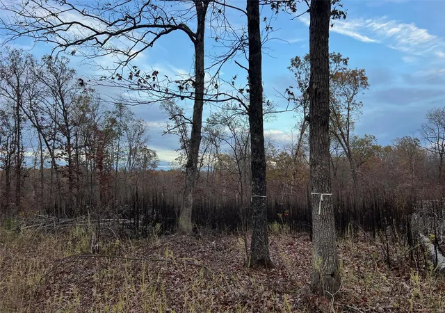 Photo 5 of Farm at 0 Partridge, Climax Springs, MO 65324 | MLS# MIS24070523 | | Sold on 2025-08-11