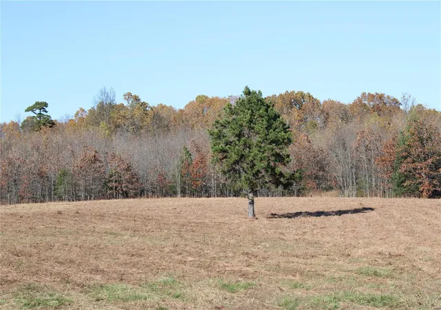 Homes for sale in Mountain View, MO | 0 County Rd 2780, Mountain View, MO 65548 | MLS# MIS24070573