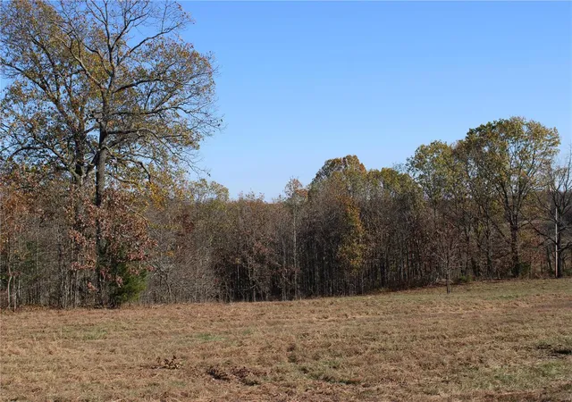 Homes for sale in Mountain View, MO | 0 County Rd 2780, Mountain View, MO 65548 | MLS# MIS24070573