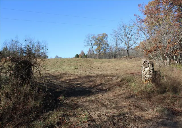 Homes for sale in Mountain View, MO | 0 County Rd 2780, Mountain View, MO 65548 | MLS# MIS24070573