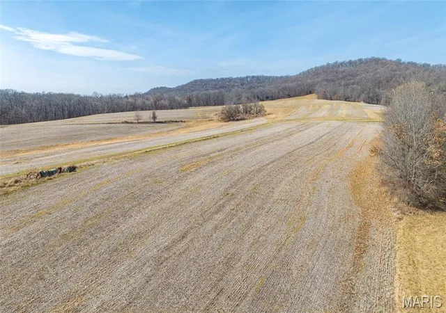 47th image of 205 Hemsath, Augusta, MO 63332 | MLS# MIS24071848