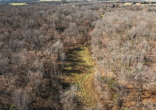 Photo 4 of Farm at 0 Shepherd Road, Richland, MO 65556 | MLS# MIS24072301 | | Sold on 2024-12-30
