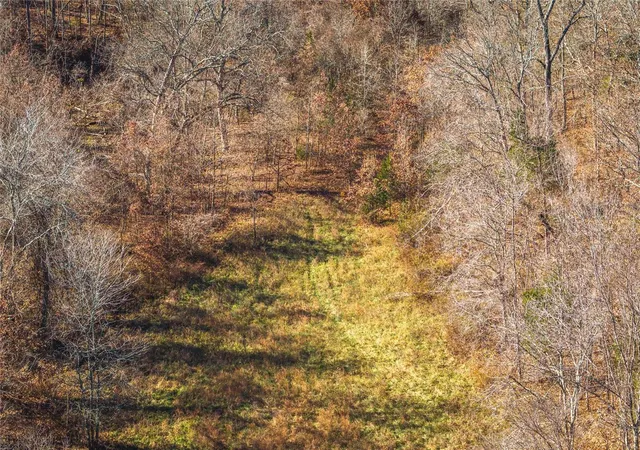 Photo 5 of Farm at 0 Shepherd Road, Richland, MO 65556 | MLS# MIS24072301 | | Sold on 2024-12-30