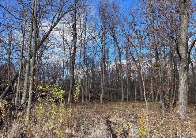 Photo 5 of Land at 8 Red Oak Estates, Haywood, MO 63454 | MLS# MIS24072875 | | Sold on 2025-06-16