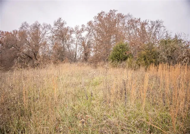 Photo 3 of Agriculture at 819 Monroe Road, Paris, MO 65275 | MLS# MIS24073761 | | Sold on 2025-05-16