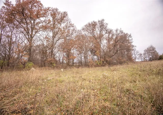 Photo 5 of Agriculture at 819 Monroe Road, Paris, MO 65275 | MLS# MIS24073761 | | Sold on 2025-05-16
