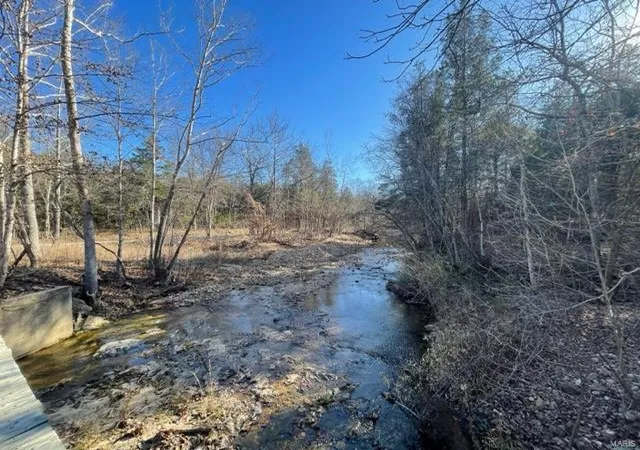 Photo 3 of Farm at 2252 Madison 451, Des Arc, MO 63636 | MLS# MIS24075194 |  | Sold on 2025-01-23