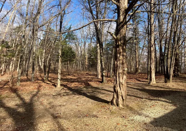 Photo 3 of Land at 0 47 Ac Log Cabin Trail, New Florence, MO 63363 | MLS# MIS24075422 |  | Sold on 2025-04-10