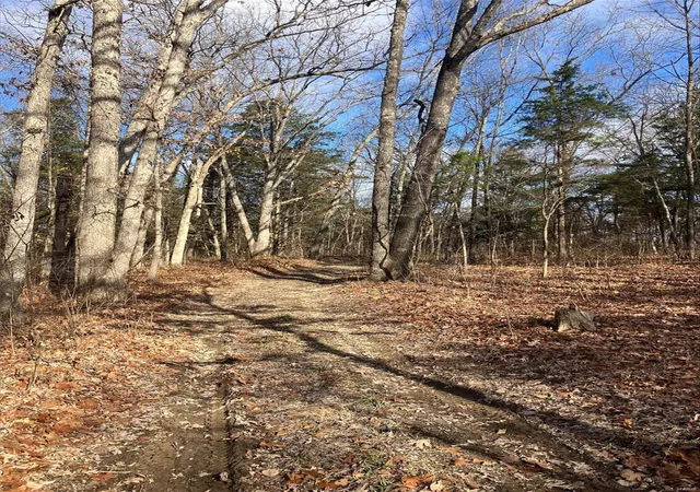 Photo 4 of Land at 0 47 Ac Log Cabin Trail, New Florence, MO 63363 | MLS# MIS24075422 |  | Sold on 2025-04-10