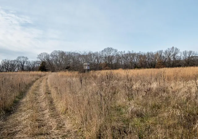 Photo 5 of Farm at 26373 Monroe Rd 325, Paris, MO 65275 | MLS# MIS24076465 | | Sold on 2025-01-13