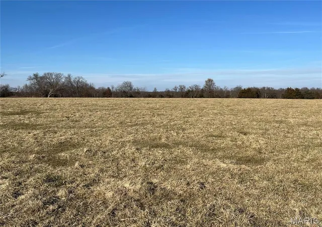 Photo 1 of Farm at 0 Hwy E, Bellflower, MO 63333 | MLS# MIS24076751 | | Sold on 2025-09-05