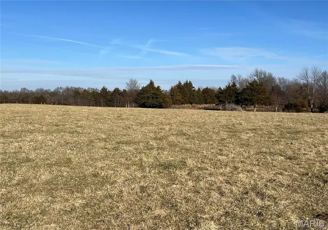 Photo 3 of Farm at 0 Hwy E, Bellflower, MO 63333 | MLS# MIS24076751 | | Sold on 2025-09-05