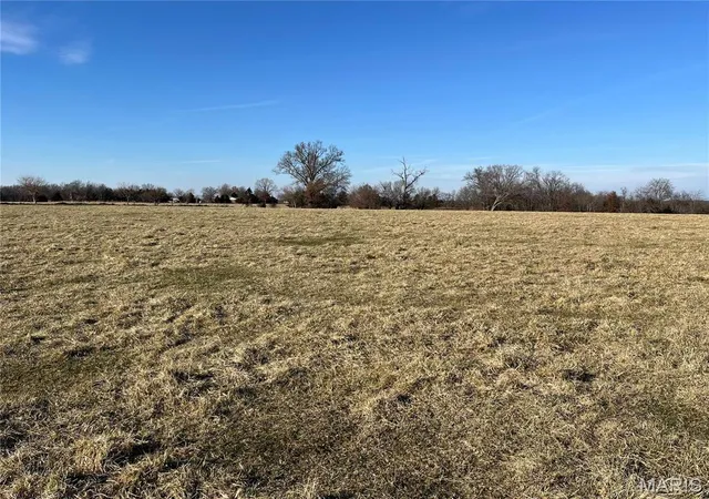 Photo 4 of Farm at 0 Hwy E, Bellflower, MO 63333 | MLS# MIS24076751 | | Sold on 2025-09-05