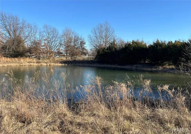 Photo 5 of Farm at 0 Hwy E, Bellflower, MO 63333 | MLS# MIS24076751 | | Sold on 2025-09-05