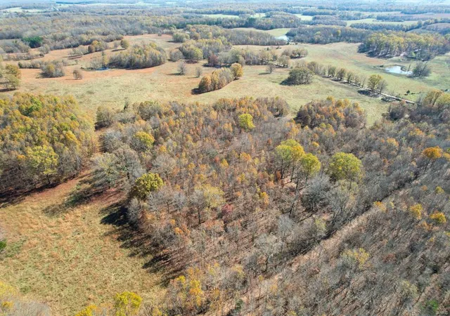 Homes for sale in Unincorporated, MO | 0 County Road 2780, Unincorporated, MO 65548 | MLS# MIS24077079