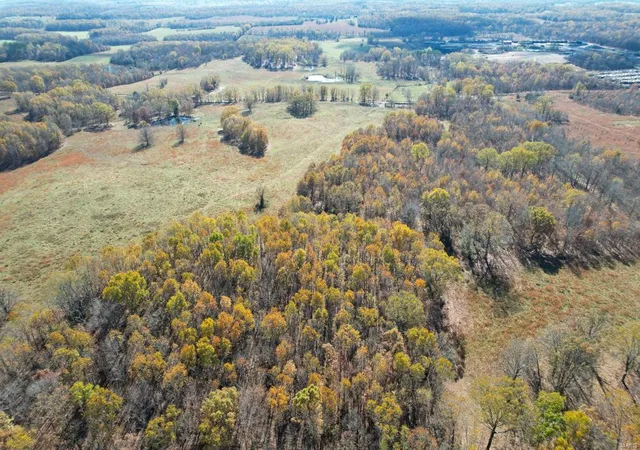 Homes for sale in Unincorporated, MO | 0 County Road 2780, Unincorporated, MO 65548 | MLS# MIS24077079