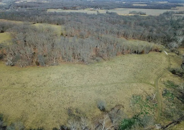 Photo 4 of Farm at 0 Hwy H, Center, MO 63436 | MLS# MIS24078607 | | Sold on 2025-03-28