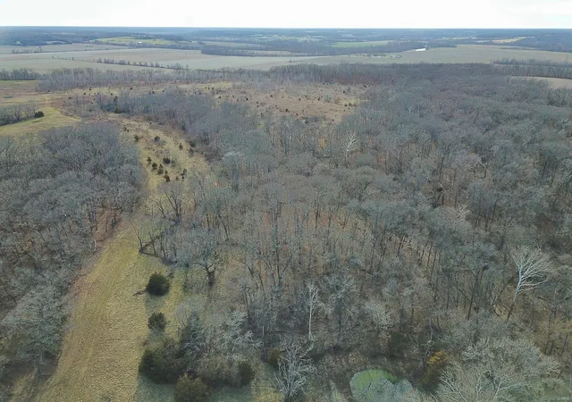 Photo 5 of Farm at 0 Hwy H, Center, MO 63436 | MLS# MIS24078607 | | Sold on 2025-03-28