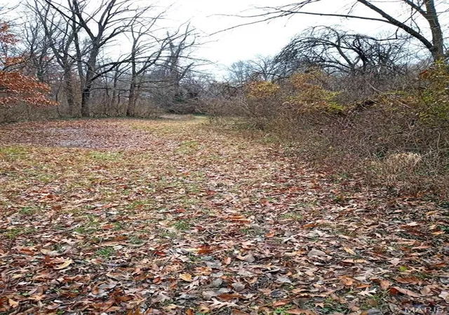 Photo 2 of Land at 4050 Cranberry Ln, Saint Louis, MO 63121 | MLS# MIS24078663 | | Sold on 2025-12-22