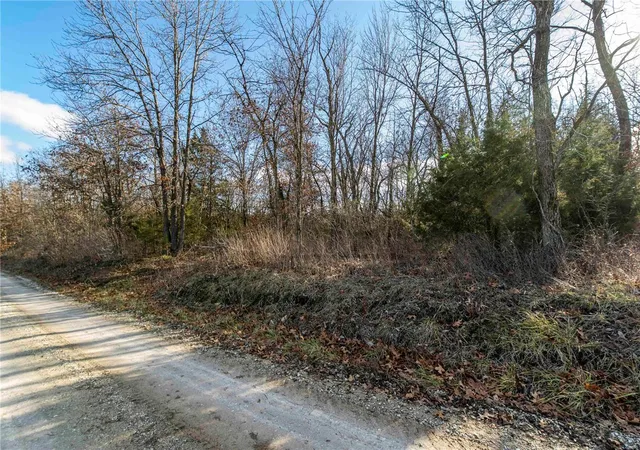 Photo 3 of Farm at 0 Monroe Road 1130, Madison, MO 65263 | MLS# MIS25000966 | | Sold on 2025-03-20