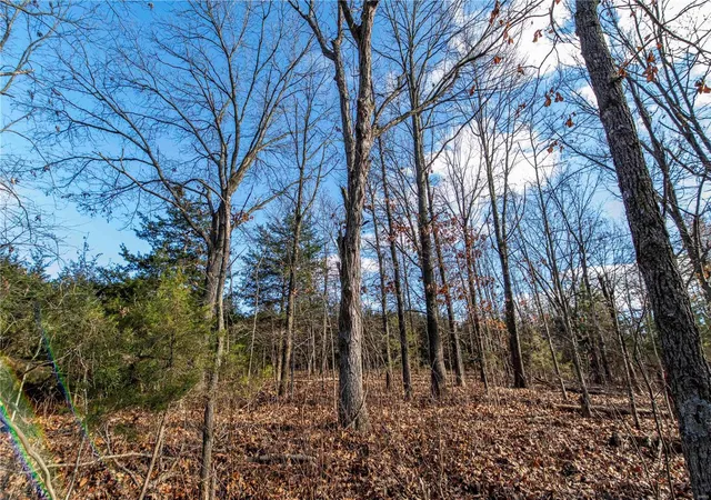 Photo 4 of Farm at 0 Monroe Road 1130, Madison, MO 65263 | MLS# MIS25000966 | | Sold on 2025-03-20