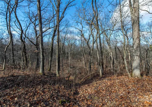Photo 5 of Farm at 0 Monroe Road 1130, Madison, MO 65263 | MLS# MIS25000966 | | Sold on 2025-03-20