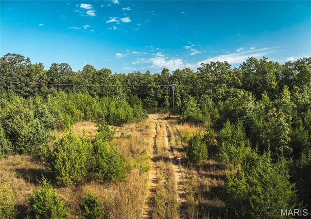 Photo 3 of House for sale at 20 Acres, Old Hwy 66, Rolla, MO 65401 | MLS# MIS25002144 | Listing updated on 2026-01-29
